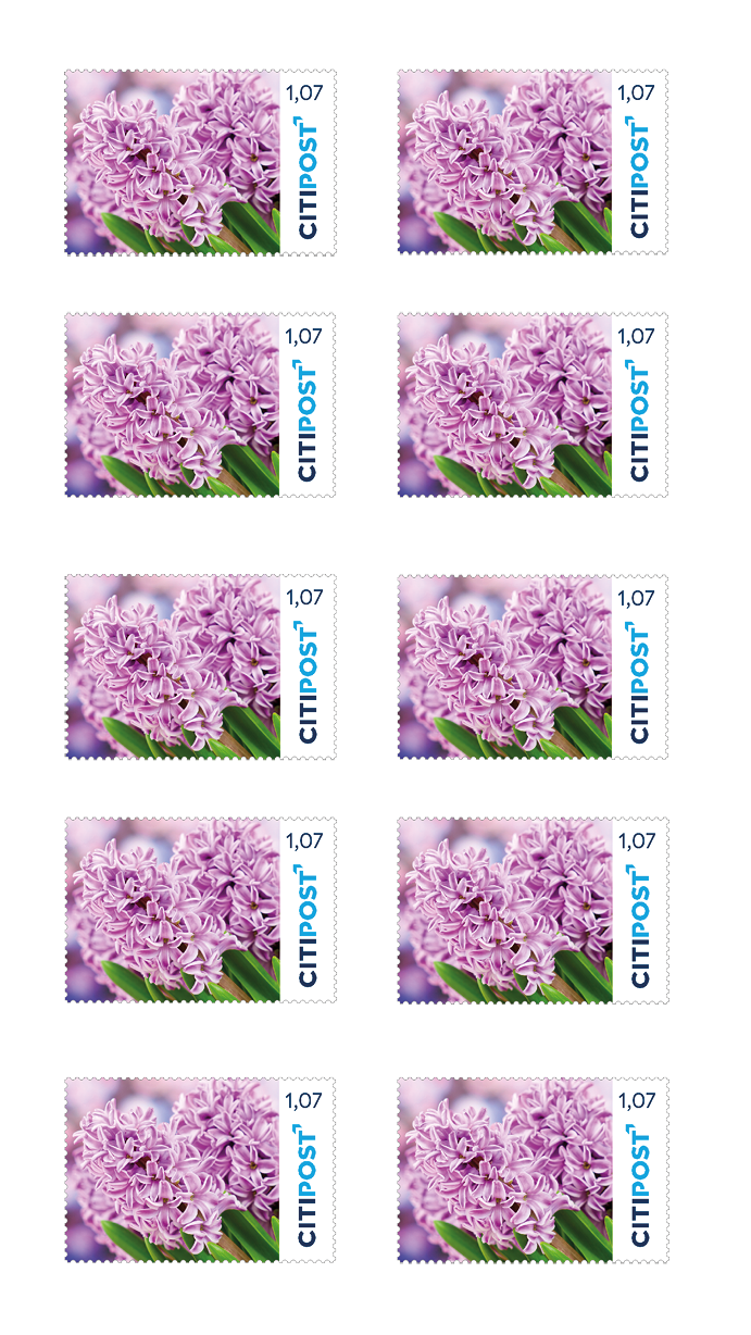 10er-Markenheft Kompaktbrief „Blumen“ 1,07 €
