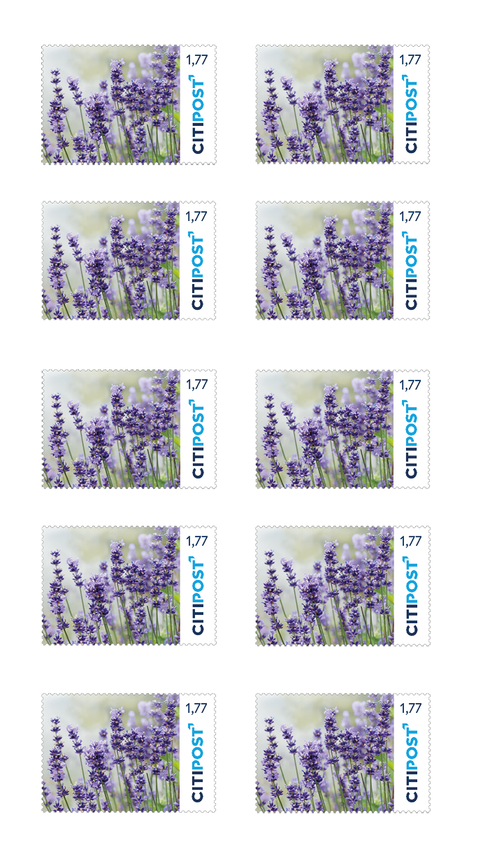 10er-Markenheft Großbrief „Blumen“ 1,77 €