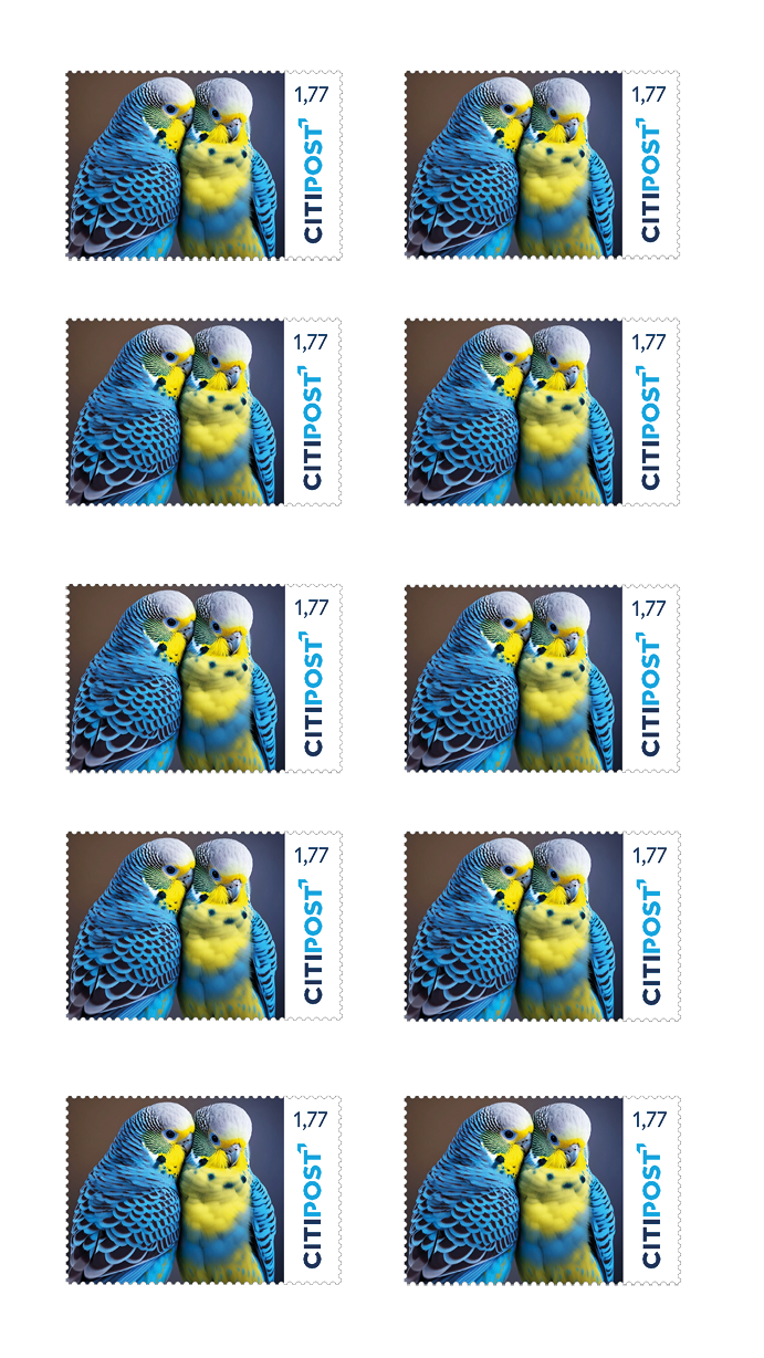 10er-Markenheft Großbrief „Haustiere“ 1,77 €