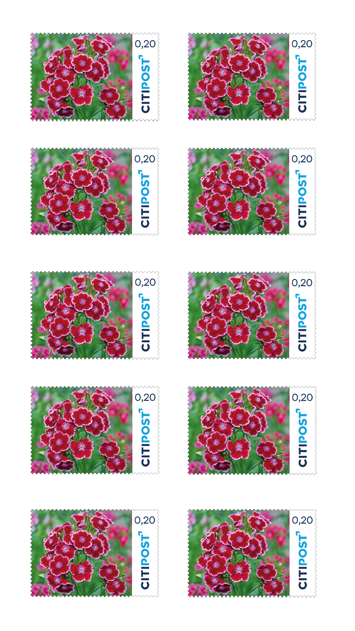 10er-Markenheft Ergänzungsbriefmarke 0,20 €