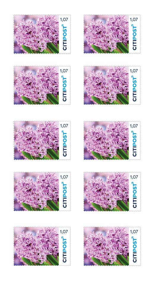 10er-Markenheft Kompaktbrief „Blumen“ 1,07 €
