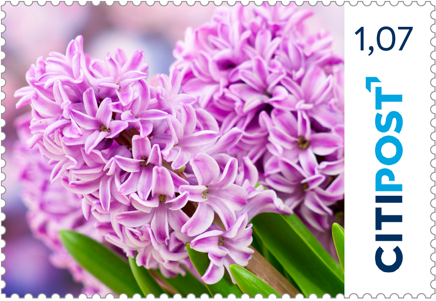 10er-Markenheft Kompaktbrief „Blumen“ 1,07 €
