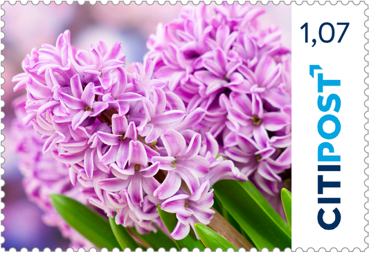 10er-Markenheft Kompaktbrief „Blumen“ 1,07 €