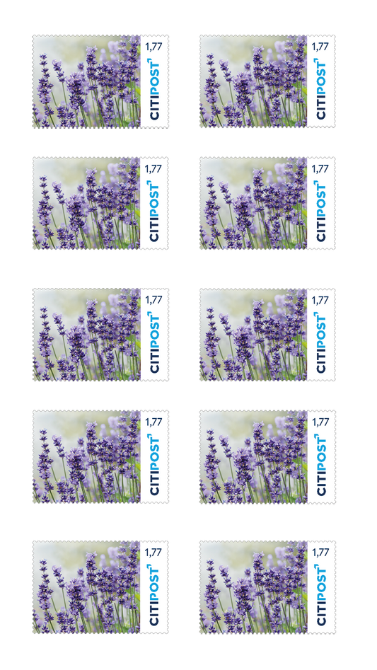 10er-Markenheft Großbrief „Blumen“ 1,77 €