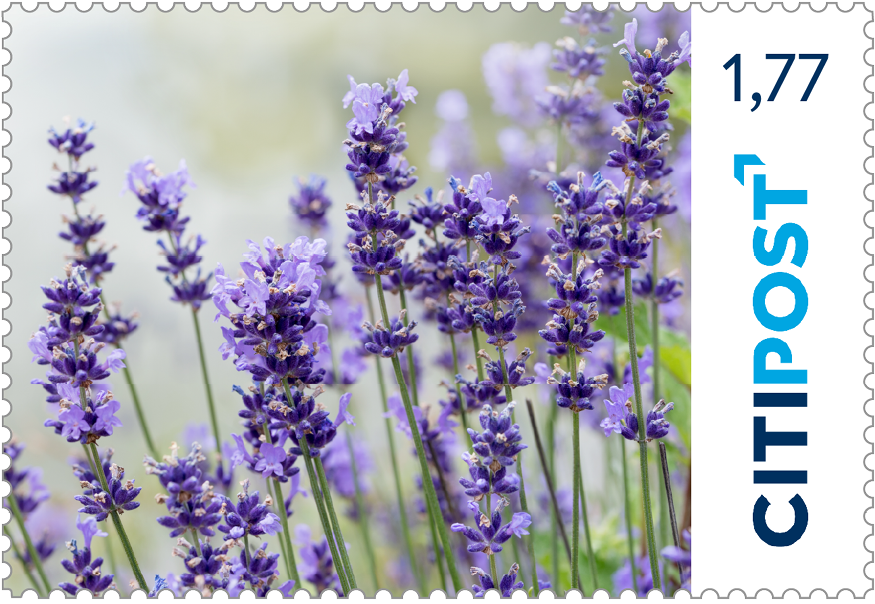 10er-Markenheft Großbrief „Blumen“ 1,77 €
