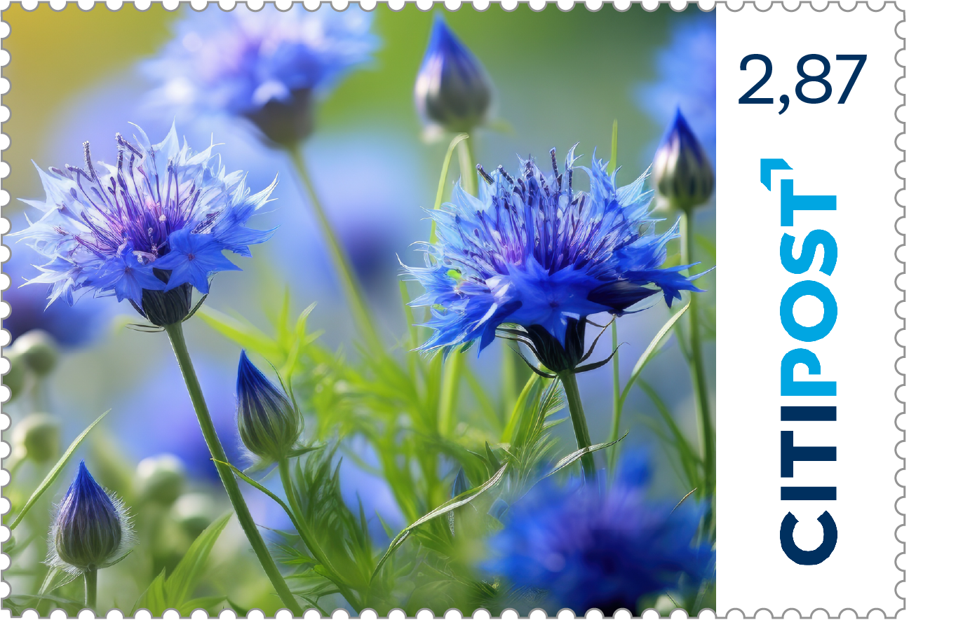 10er-Markenheft Maxibrief „Blumen“ 2,87 €