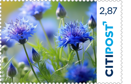 10er-Markenheft Maxibrief „Blumen“ 2,87 €