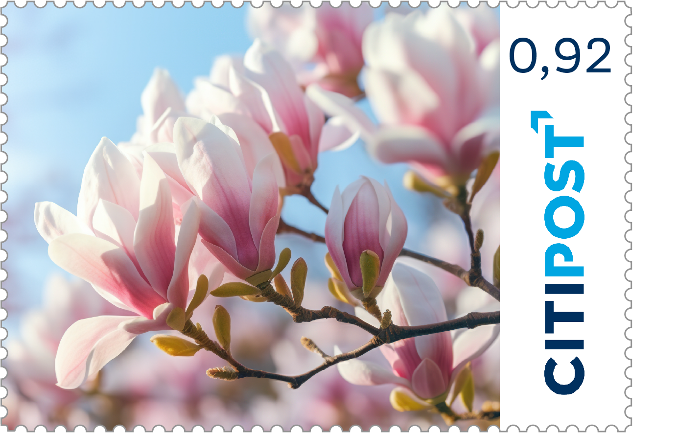 10er-Markenheft Standardbrief / Postkarte „Blumen“ 0,92 €