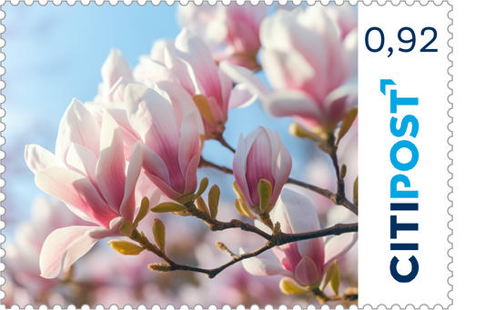 10er-Markenheft Standardbrief / Postkarte „Blumen“ 0,92 €