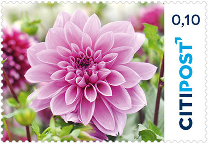 10er-Markenheft Ergänzungsbriefmarke 0,10 €